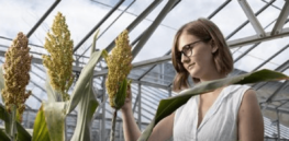 New Zealand poised to soften restrictions on genetically modified crops by the end of the year, green light gene editing